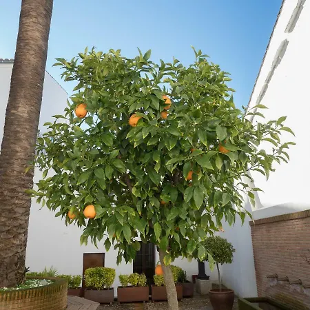 Palacio Munoz Chaves Apartmán *