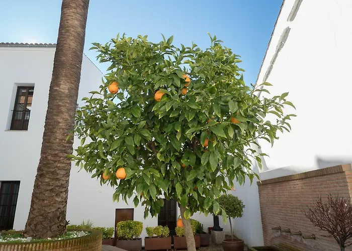 Palacio Munoz Chaves Appartement *